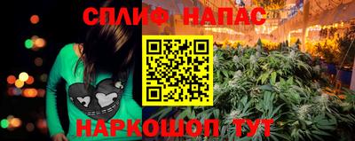 твердый Гусев