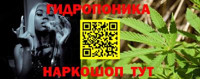 твердый Гусев