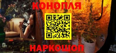 твердый Гусев