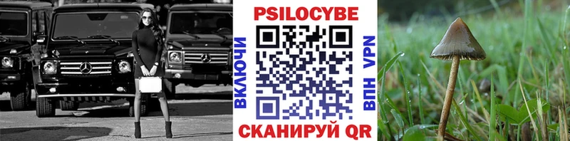 Галлюциногенные грибы Cubensis  Муром 
